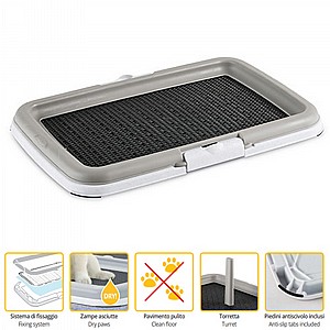 ���� ����� ����� ������