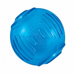 ���� ������ ���� ���� �����