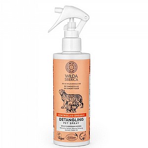 ����� ���� �����