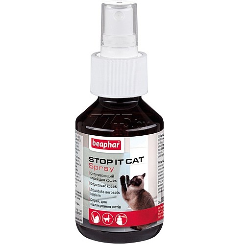 ���� ��� - ����� ������