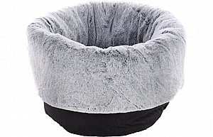 ���� ����� ��� ���� ������ �����