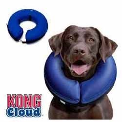   /Kong Cloud -  S