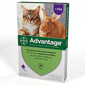 אדוונטג 80 אדוונטג 80