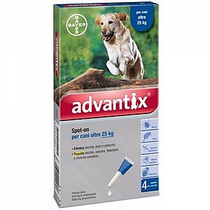 ��������� ���� ����� 25 �"� �����