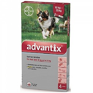 ��������� ���� ����� 25-10 �"�