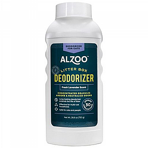 ��������/���� ��� ���� ����