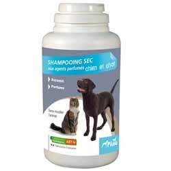 ���� ��� ���� �����