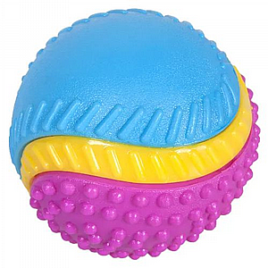 ���� ���� ������ ����