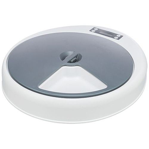 ���� ����� �������� 