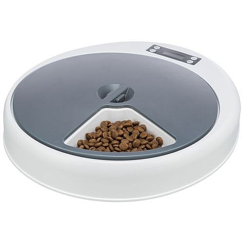 ���� ����� �������� 