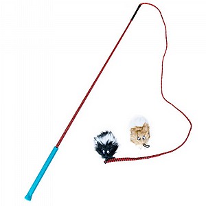 ���� ��� ����