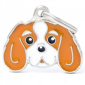 �� �� ���� ���� ����� ���� �����