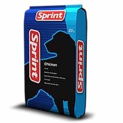 ���� ������ ������/Sprint