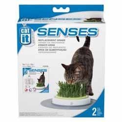 ���� ����� ��� �����