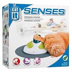 ���� ����� �����