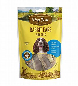 DOG FEST - ���� ����� ���� �� ��� �����