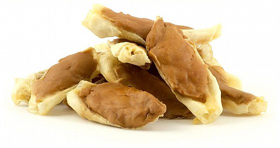 DOG FEST - ���� ����� ���� �� ��� �����