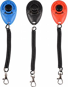 ����� ������ �����