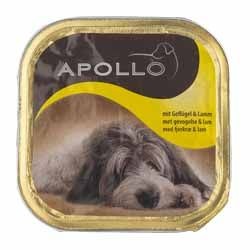 ���� �����/Apollo ��� ����