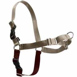 ���� ���� ����/Easy Walk ���� S