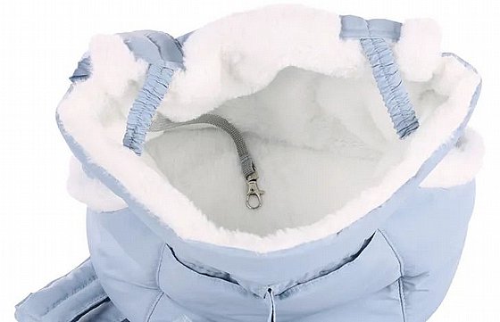 ���� ����� ���� ���