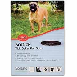 ���� ������/Soltick ���� ����