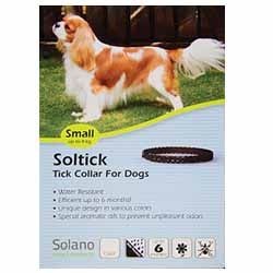 ���� ������/Soltick ���� ���