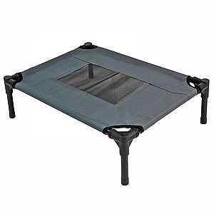 ���� ������ ������