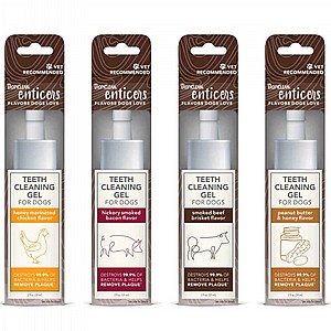 �`� ������ ������ ��������� ��������