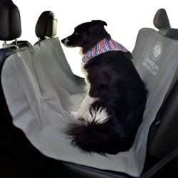 ����� ����� ����