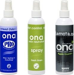 ����� ������ ��� ������ ������ ���