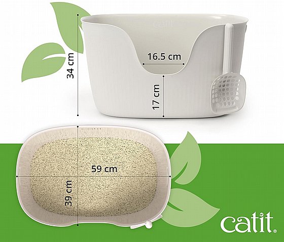 ���� ����� ���� �����/Catit 