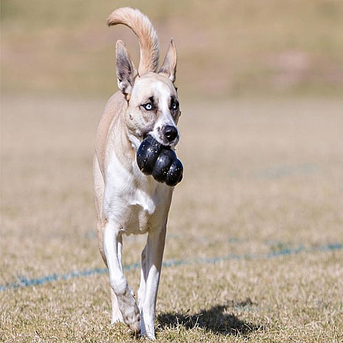 ���� ���� ���� ���� XL