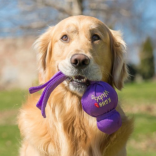 ���� ���� ���� ���� XL