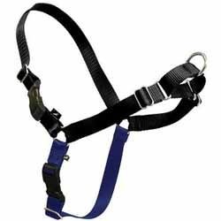 ���� ���� ����/Easy Walk ���� L