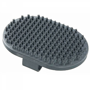 ����� ���� �� ��