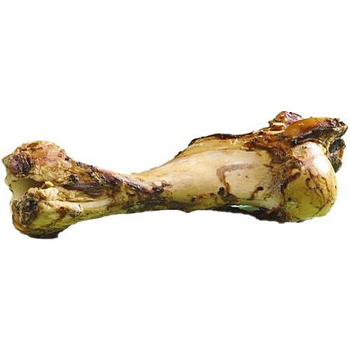 ��� ��� ������ �����