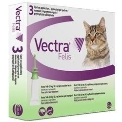 וקטרה אמפולות לחתולים וקטרה אמפולות לחתולים