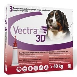 ����� ������� ������ ����� 40-60 �"�