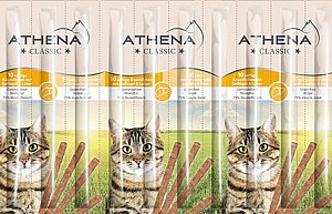 ���� ���� ���� ��� ����