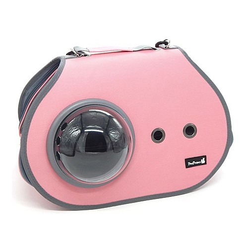 ��� ���� ����� ���� ���