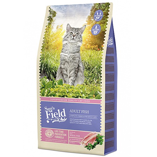 ��� ���� ������� ������ - ����