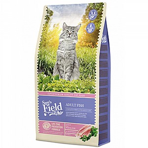 ��� ���� ������� ������ - ����