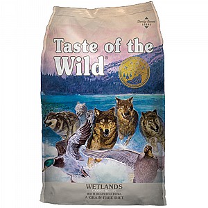 ����� ��� �� ����� ���� - �����