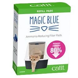 ���� ����� ����� ����� - �����