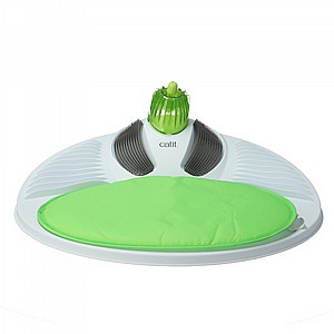 ���� ������ �����