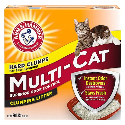 ����� �� ����� �����