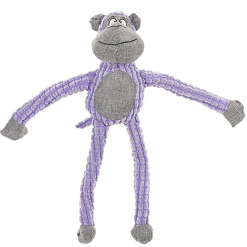 ���� ����� ������