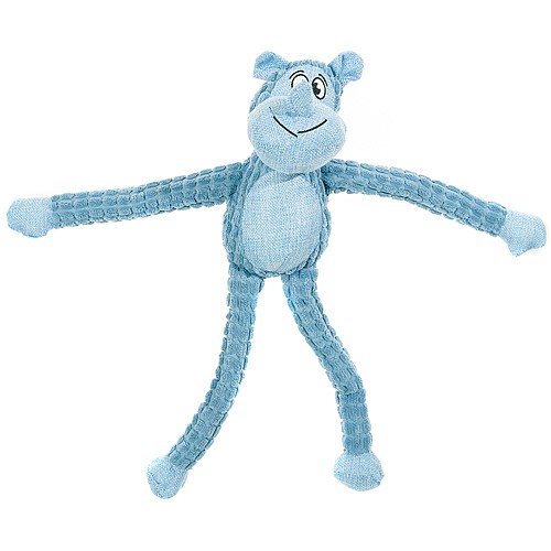 ���� ����� ������