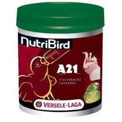 ��������� A21 �������